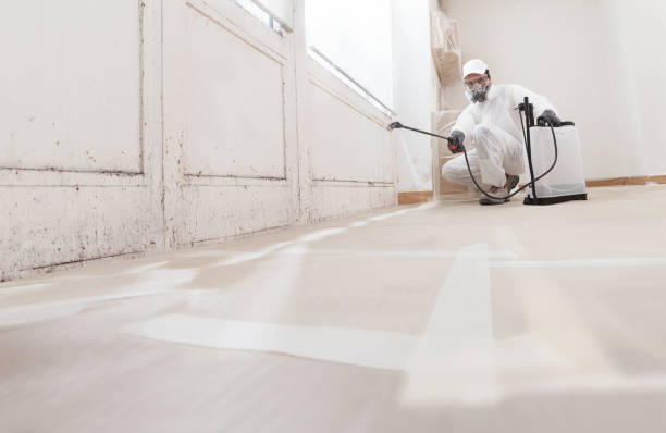 24/7 Emergency Black Mold Removal experts in Exton, PA