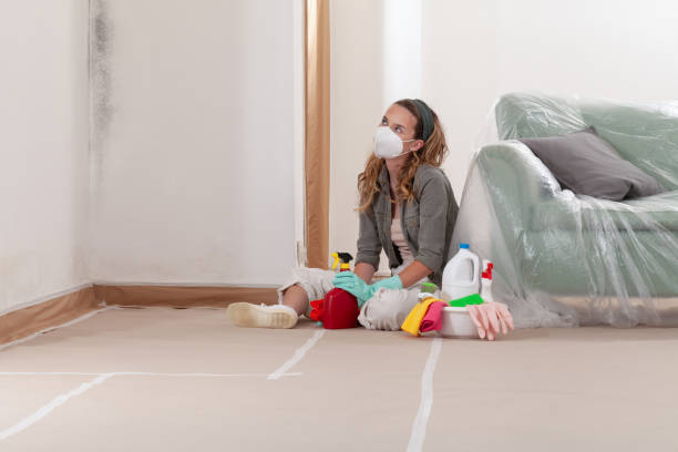 Reliable Mold Cleanup contractor in Exton, PA by Cheap Mold Removal